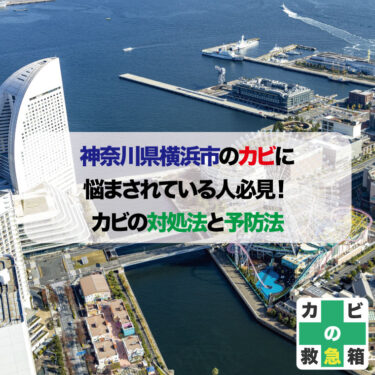 神奈川県横浜市のカビに悩まされている人必見！カビの対処法と予防法　おすすめカビ取り専門業者も紹介
